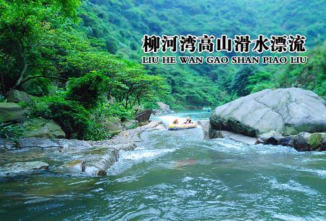 点赞!高要区教师在省级竞赛中喜获佳绩!