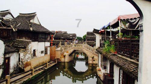 雨后盛放